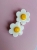 20260424_112654.jpg