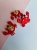 20260622_132247.jpg